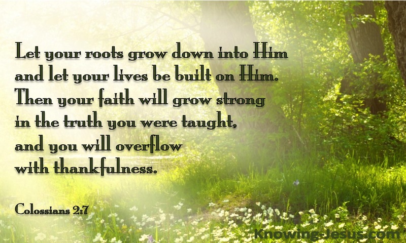 Colossians 2:7 Rooted on Christ (green)